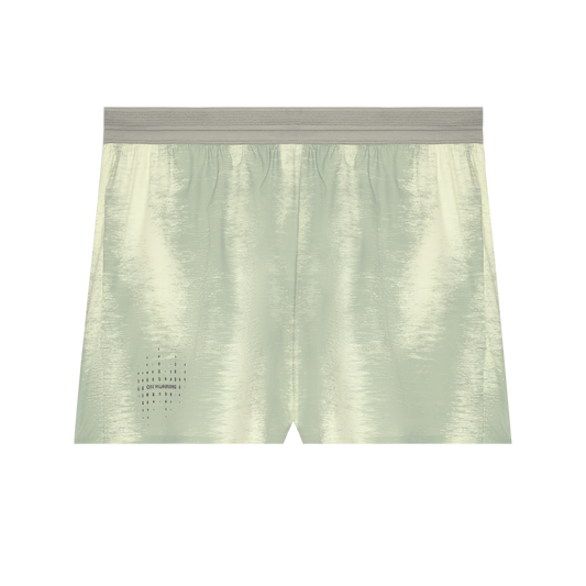 Performance Shorts Terra