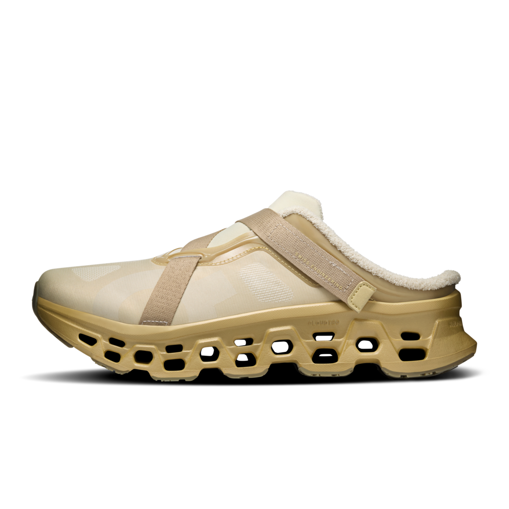Cloudmonster 3 Mule