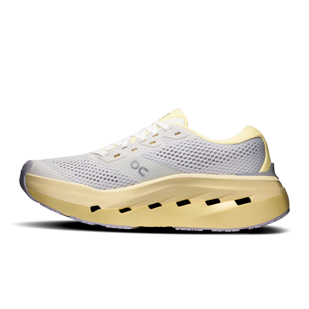 Cloudrunner 3 Max