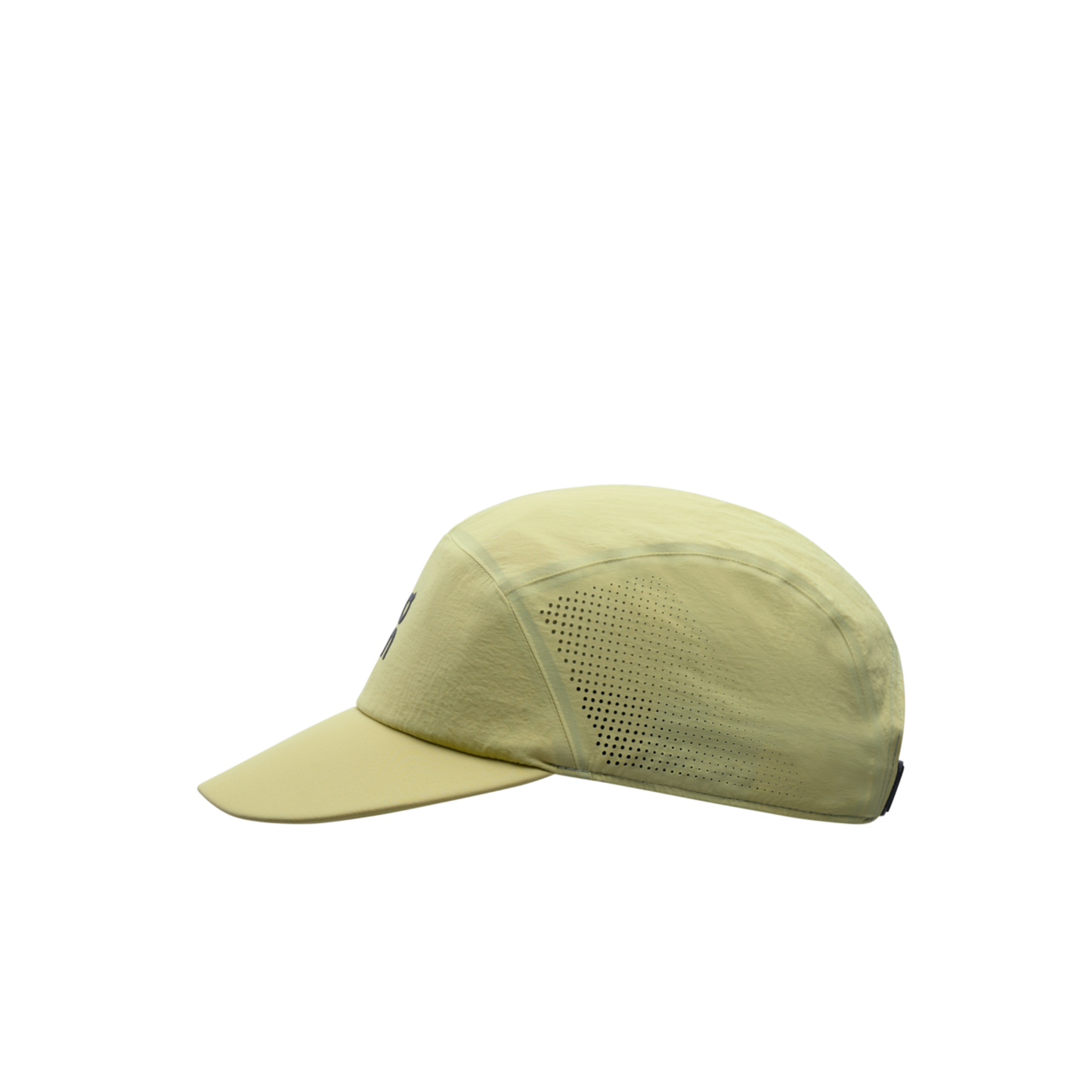 Performance Cap